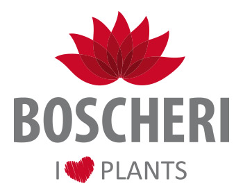 logo-boscheri-sovrapposto-350